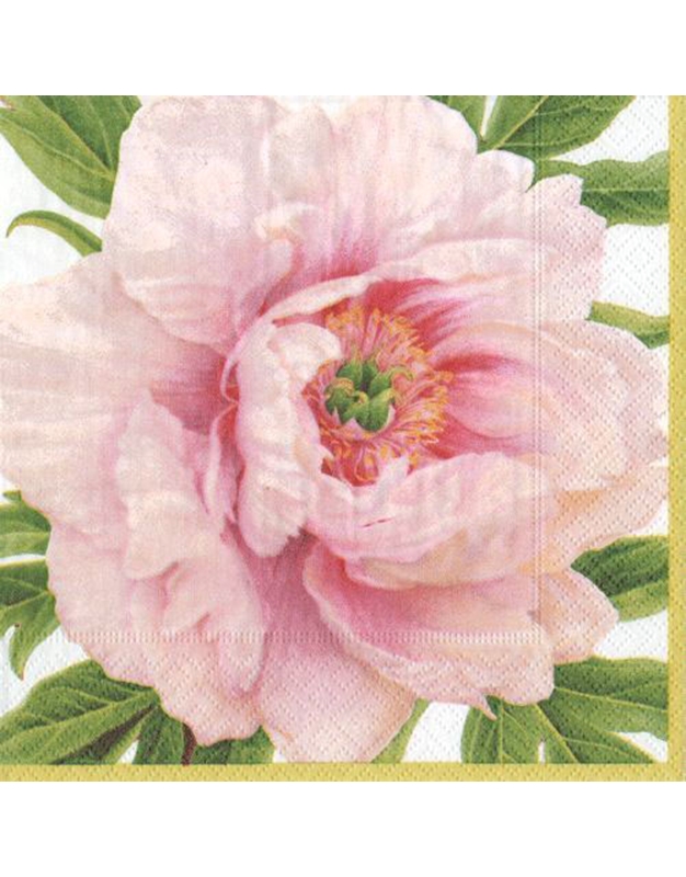Χαρτοπετσέτες "Blush Floral" 12.5x12.5 cm Caspari (20 τεμάχια)	