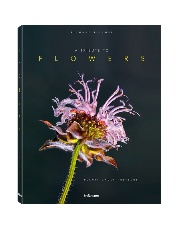 Fischer Richard - A Tribute To Flowers