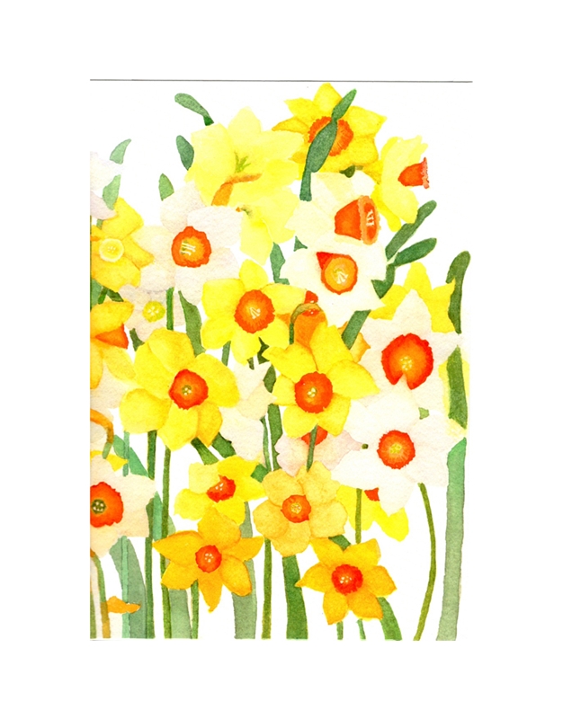 Πασχαλινή Κάρτα "Daffodils" Caspari