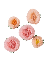 Διακοσμητικά Λουλούδια Pom Poms Ginger Ray TEA-618