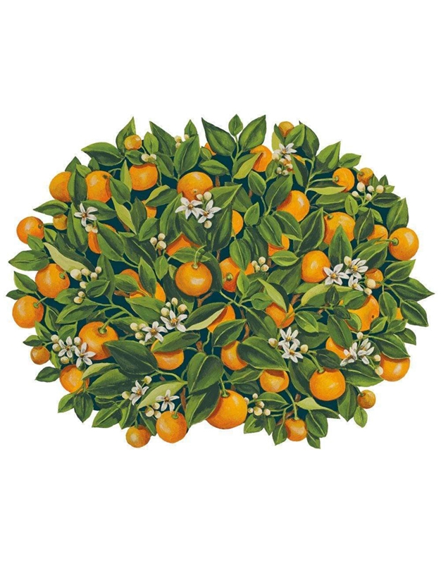 Σουπλά Σχέδιο Πορτοκάλια "Oranges" Caspari (41 cm)