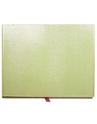 Guest Book Lizard G2322 Caspari (Green)