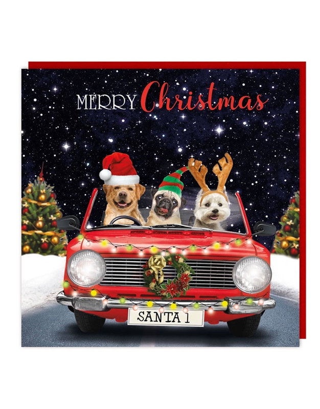Ευχετήρια Χριστουγεννιάτικη Κάρτα "Dogs in Car" Tracks Publishing Ltd