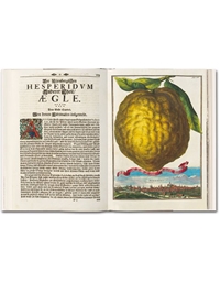 Volcamer J.C. - The Book Of Citrus Fruits