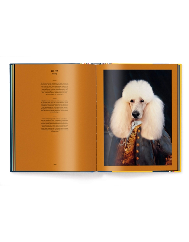 Lucasson Tein - Dog: Portraits of Eighty-Eight Dogs & One Little Naughty Rabbit