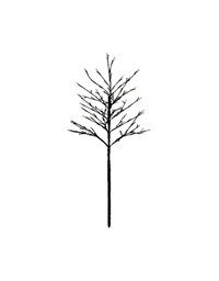 Xριστουγεννιάτικο Δέντρο Mε 80 Led Λαμπάκια Noah - Sirius (110 cm)