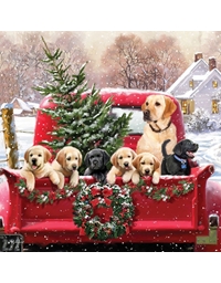 Ευχετήρια Κάρτα Χριστουγεννιάτικη Με Σκυλάκια Tracks Publishing