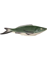 Πιατέλα Kεραμική Ψάρι Πράσινη 'Oμπρε (40 cm)