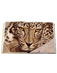 Arabian Leopard