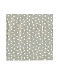 Χαρτοπετσέτες Luncheon Platinum Small Dots 16.5 x 16.5 cm Caspari (20 Τεμάχια)