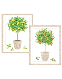 Ευχετήρια Κάρτα Citrus Topiaries Με Φάκελο Capsari (10 Τεμάχια)