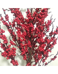Xριστουγεννιάτικο Δέντρο Berry Kόκκινο (170 cm)