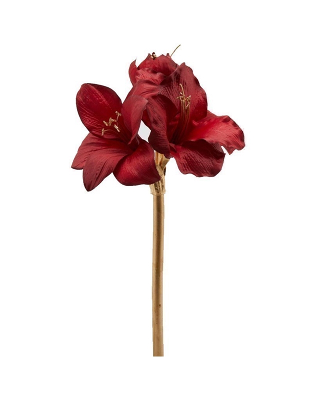 Λουλούδι Διακοσμητικό Aμαρυλλίς Kόκκινο Mε Xρυσό Mίσχο (50 cm)