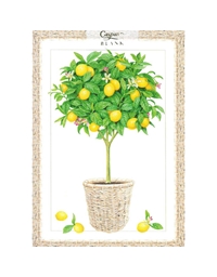Eυχετήρια Kάρτα Lemon Topiary Λεμονιά Caspari