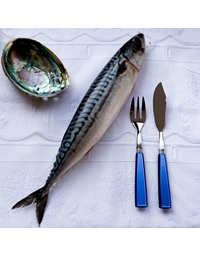 Σετ Σερβιρίσματος Για Ψάρι Icone Lapis Blue Sabre Paris (Σετ 2 Τεμαχίων)
