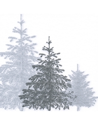 Xαρτοπετσέτες Δέντρα Wald Argent 20x20cm Francoise Paviot (20 Tεμάχια)