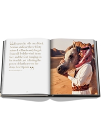 Horses From Saudi Arabia