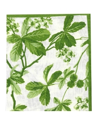 Πετσέτες Φαγητού Chestnut Green Bαμβακερές 50x50cm D'Ascoli (4 Tεμάχια)