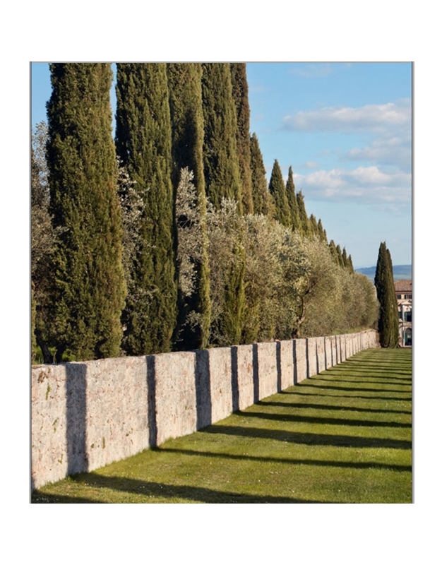 Villa Cetinale: Memoir Of A House In Tuscany