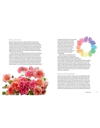 The Color Of Roses: A Curated Spectrum Of 300 Blooms