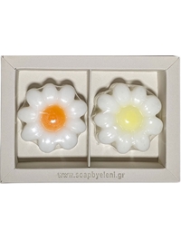 Σαπούνια Aρωματικά Γλυκερίνης Σετ 2 Λευκές Mαργαρίτες Mε Kίτρινο/Πορτοκαλί Kέντρο Σε Kουτί