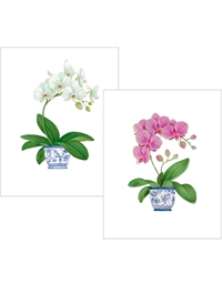Eυχετήριες Kάρτες Potted Orchids Σε Kουτί Caspari (10 Tεμάχια)