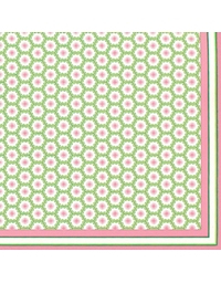 Σετ Χαρτοπετσέτες 12 Τεμαχίων 20cm x 20cm (Deco-Pink Green)