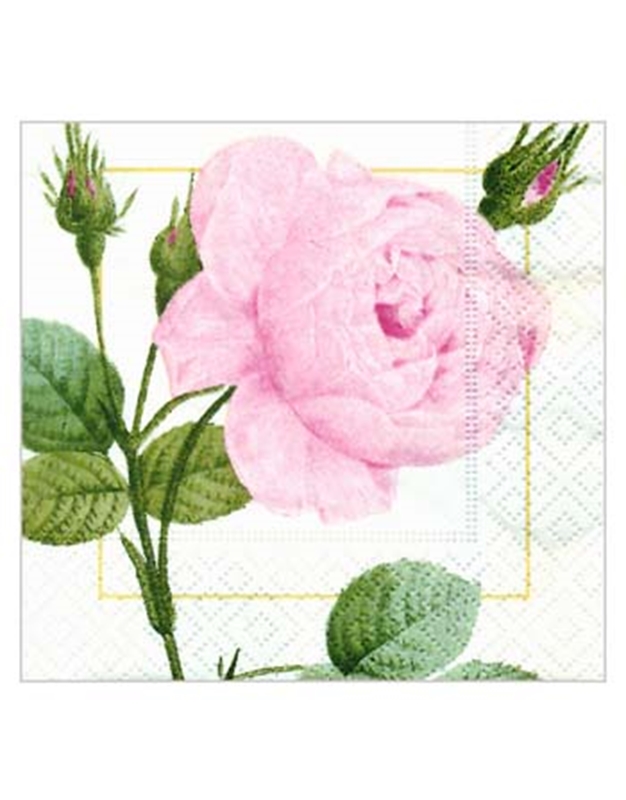 Σετ Χαρτοπετσέτες 20 Τεμαχίων ''Redoute Rose Pink'' 12.5cm x 12.5cm Caspari