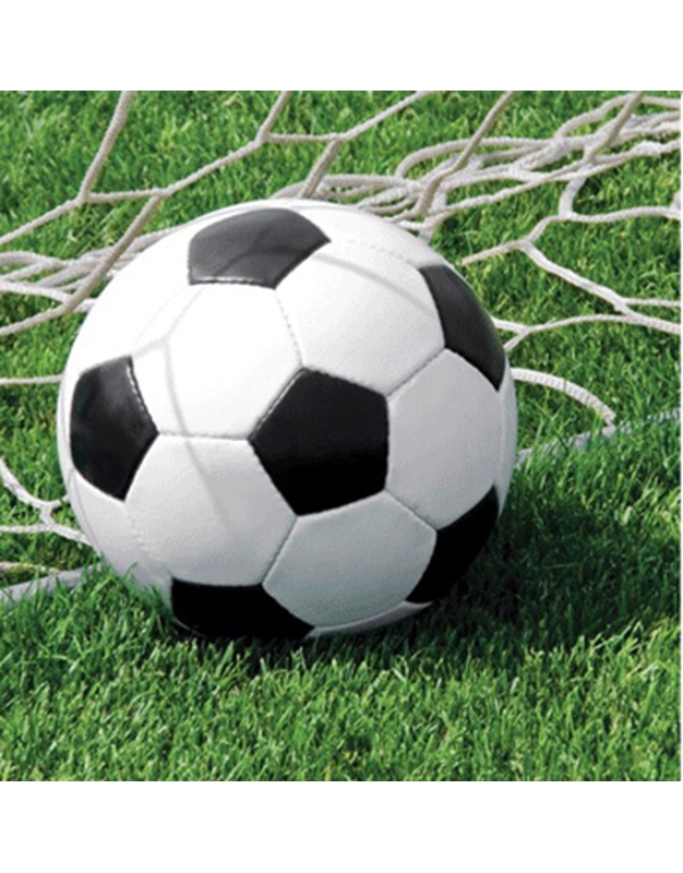 Σετ Χαρτοπετσέτες 18 τεμαχίων (32.7x32.4 cm) "Sports Fanatic - Soccer"